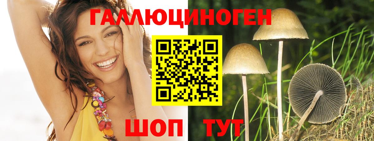 Псилоцибиновые грибы Cubensis Нефтекумск